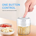 Electric Mini Garlic & Veggie Chopper