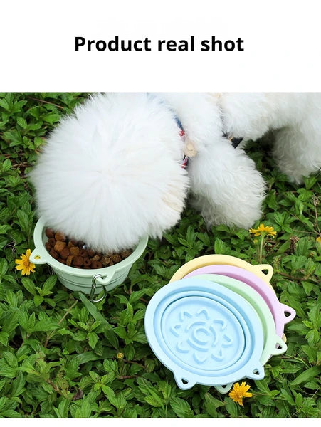 3-in-1 Collapsible Slow Feeder Travel Bowl